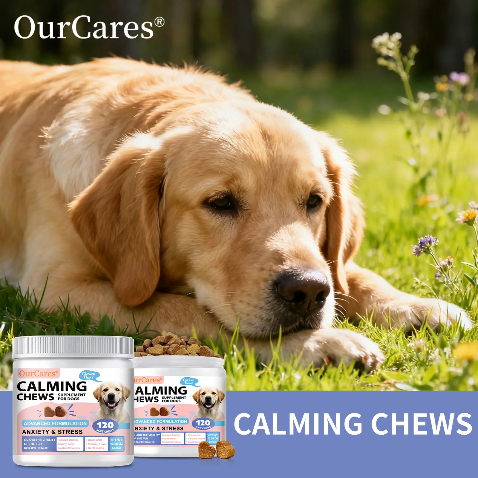 Calm Your Pup with OURCARES Soft Chew Treats - Stress Relief & Composure Support for Dogs